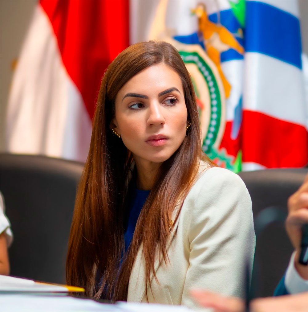 Audiência pública